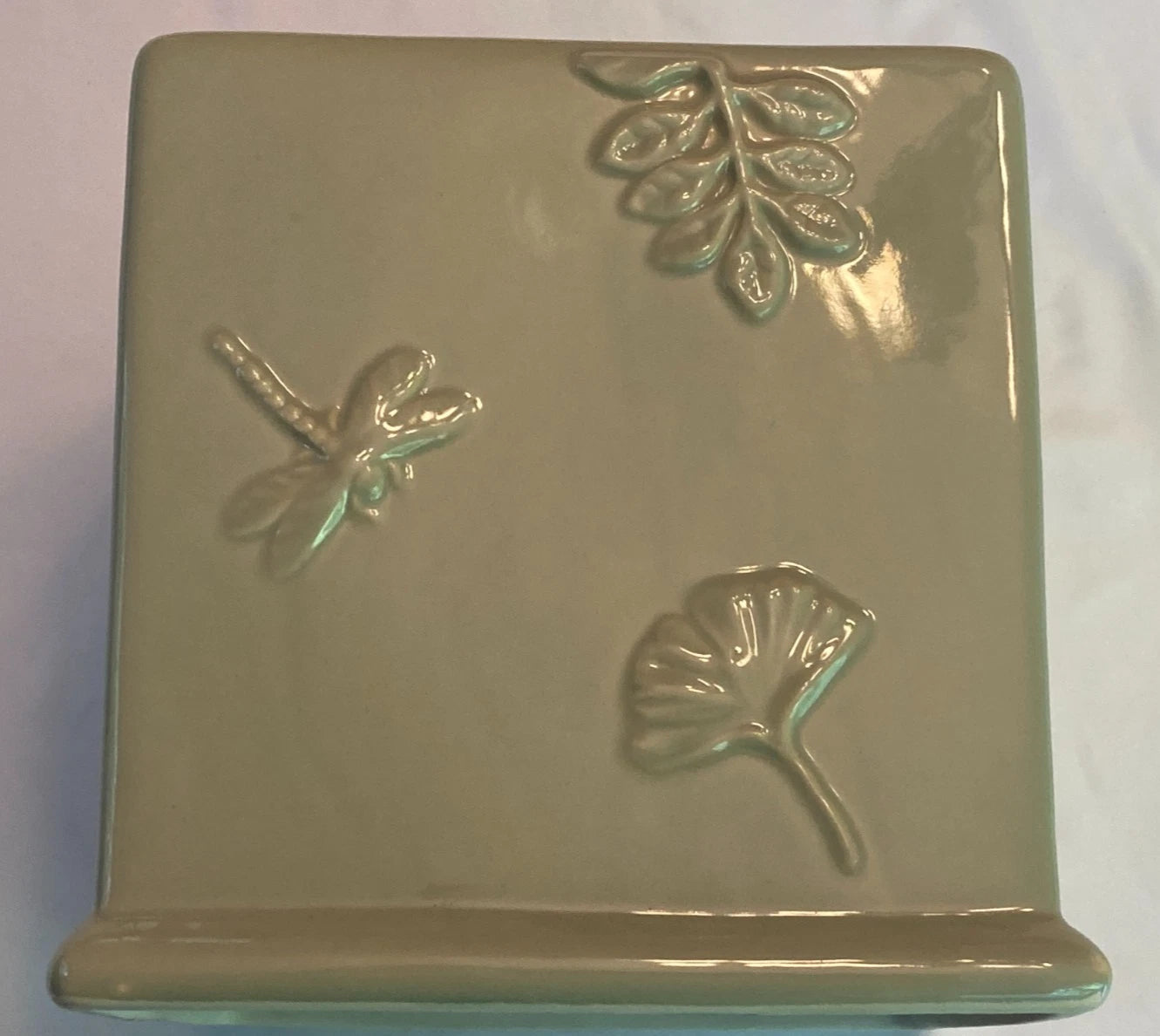 Light Green Ginkgo Leaf/Dragon Fly/Fern Cube/Square Tissue Box Cover | eBay