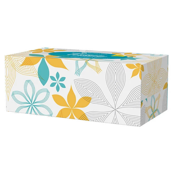 Member's Mark Facial Tissue 2-Ply Flat Boxes Unscented 160 tissues/box, 12 boxes | eBay