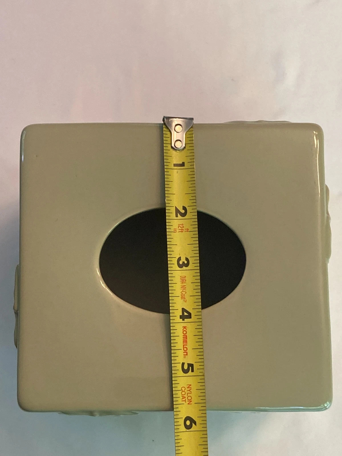 Light Green Ginkgo Leaf/Dragon Fly/Fern Cube/Square Tissue Box Cover | eBay