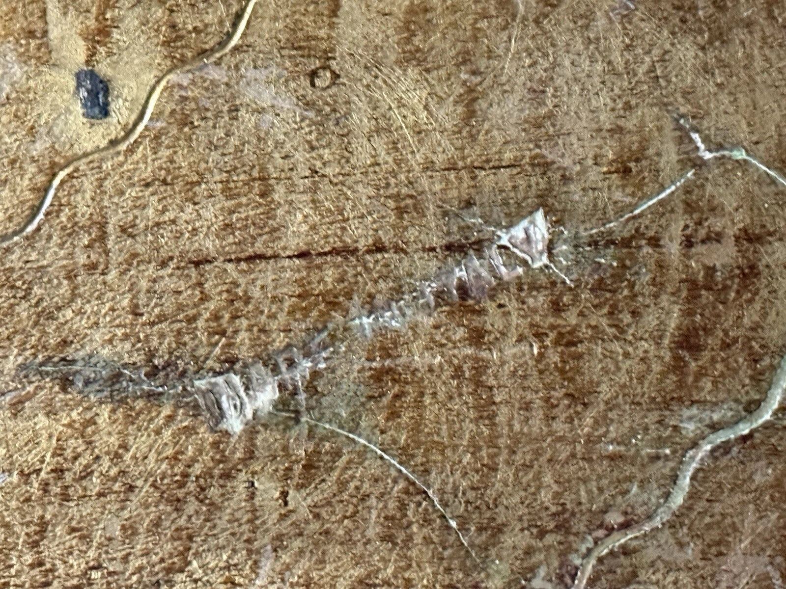 RARE Vintage Gold *BLUE Hollywood TISSUE HOLDER Cover Antique ITALY Florentine | eBay