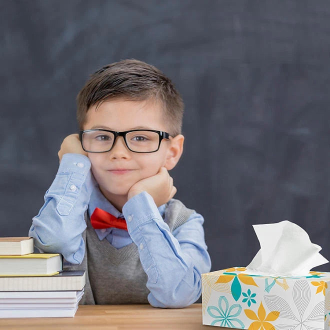 Member's Mark Facial Tissue 2-Ply Flat Boxes Unscented 160 tissues/box, 12 boxes | eBay