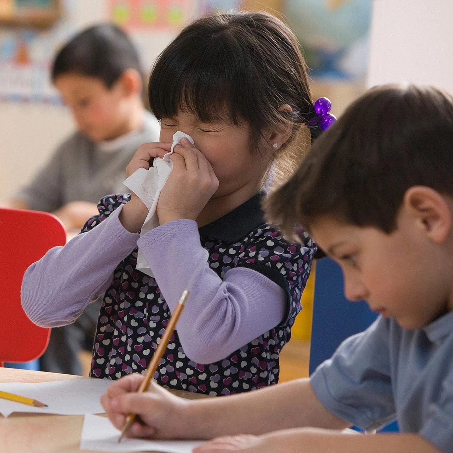 Member's Mark Facial Tissue 2-Ply Flat Boxes Unscented 160 tissues/box, 12 boxes | eBay