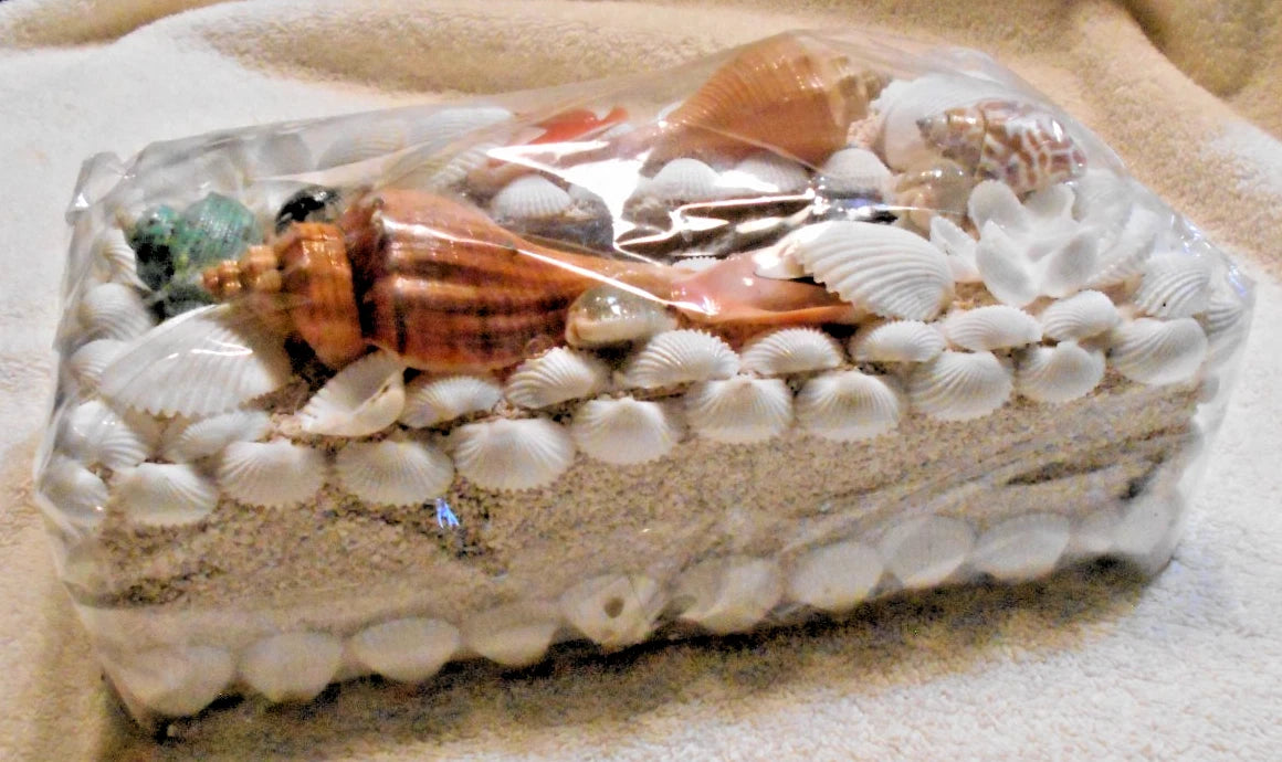 Sea Shell Tissue Box | eBay