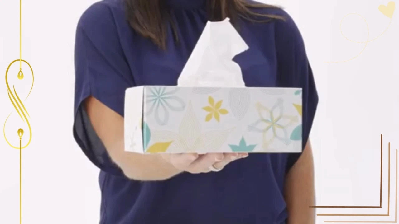 Member's Mark Facial Tissue 2-Ply Flat Boxes Unscented 160 tissues/box, 12 boxes | eBay