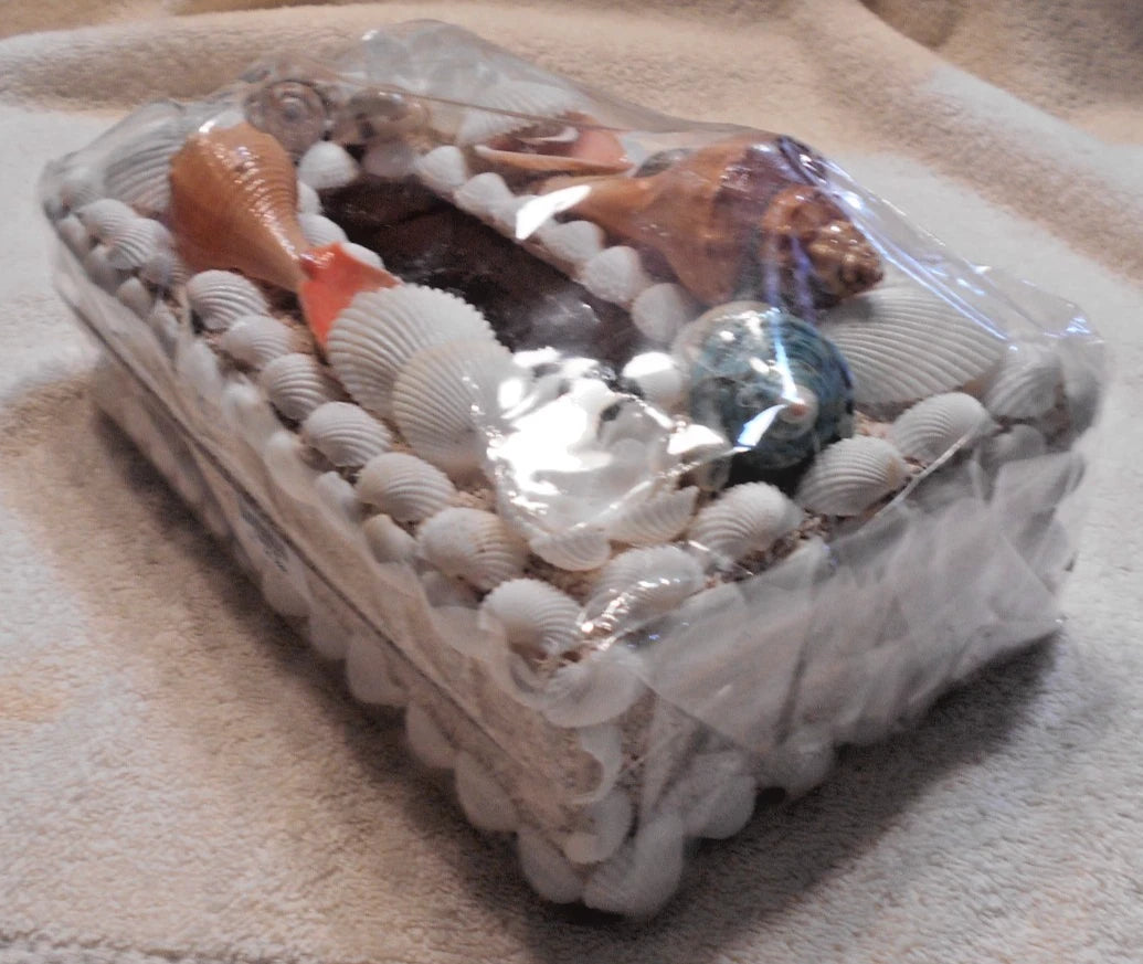Sea Shell Tissue Box | eBay