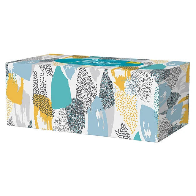 Member's Mark Facial Tissue 2-Ply Flat Boxes Unscented 160 tissues/box, 12 boxes | eBay