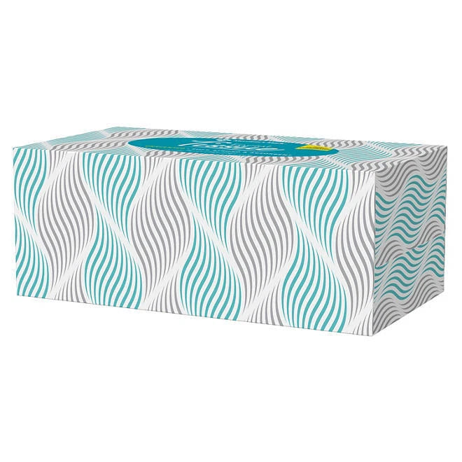 Member's Mark Facial Tissue 2-Ply Flat Boxes Unscented 160 tissues/box, 12 boxes | eBay