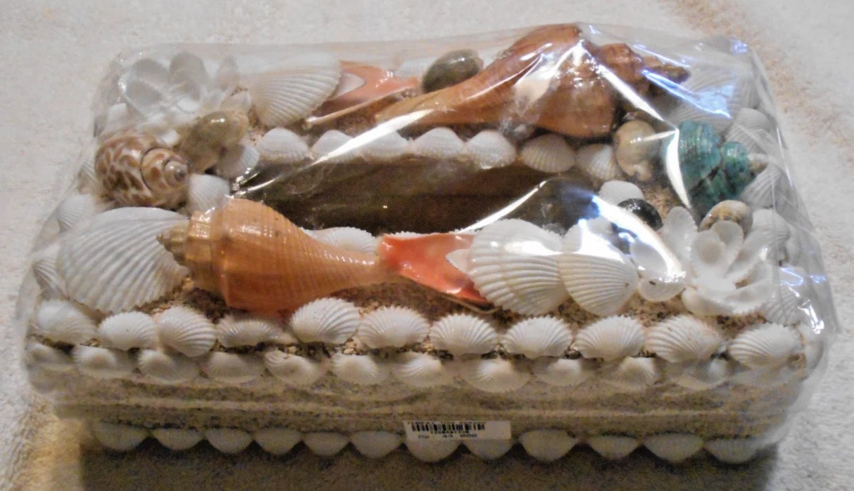 Sea Shell Tissue Box | eBay